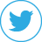 Twitter icon